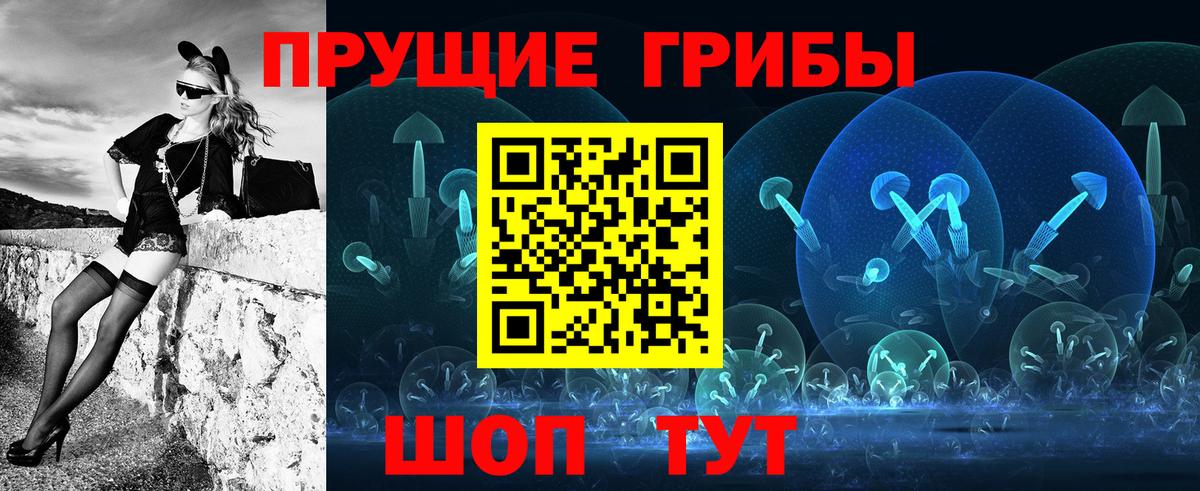 Псилоцибиновые грибы прущие грибы Дубна